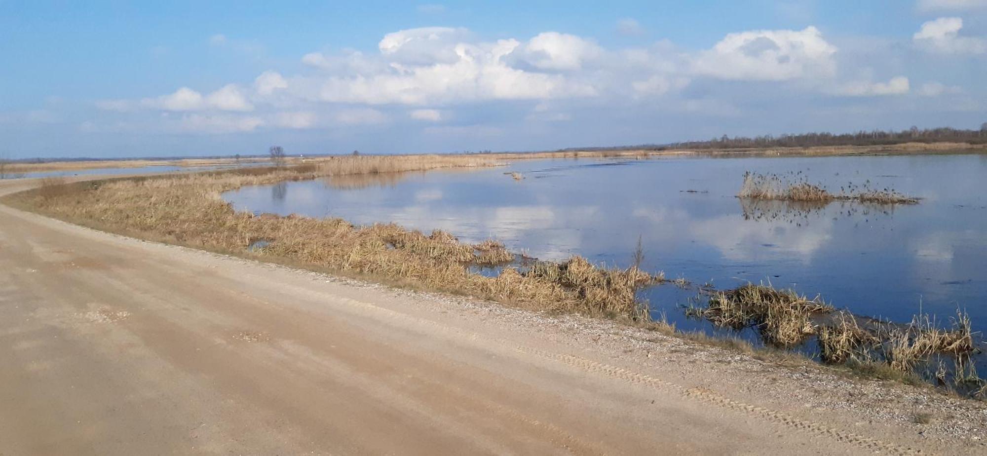 Noclegi Nad Biebrza Stara Szkola Wrocen Kültér fotó