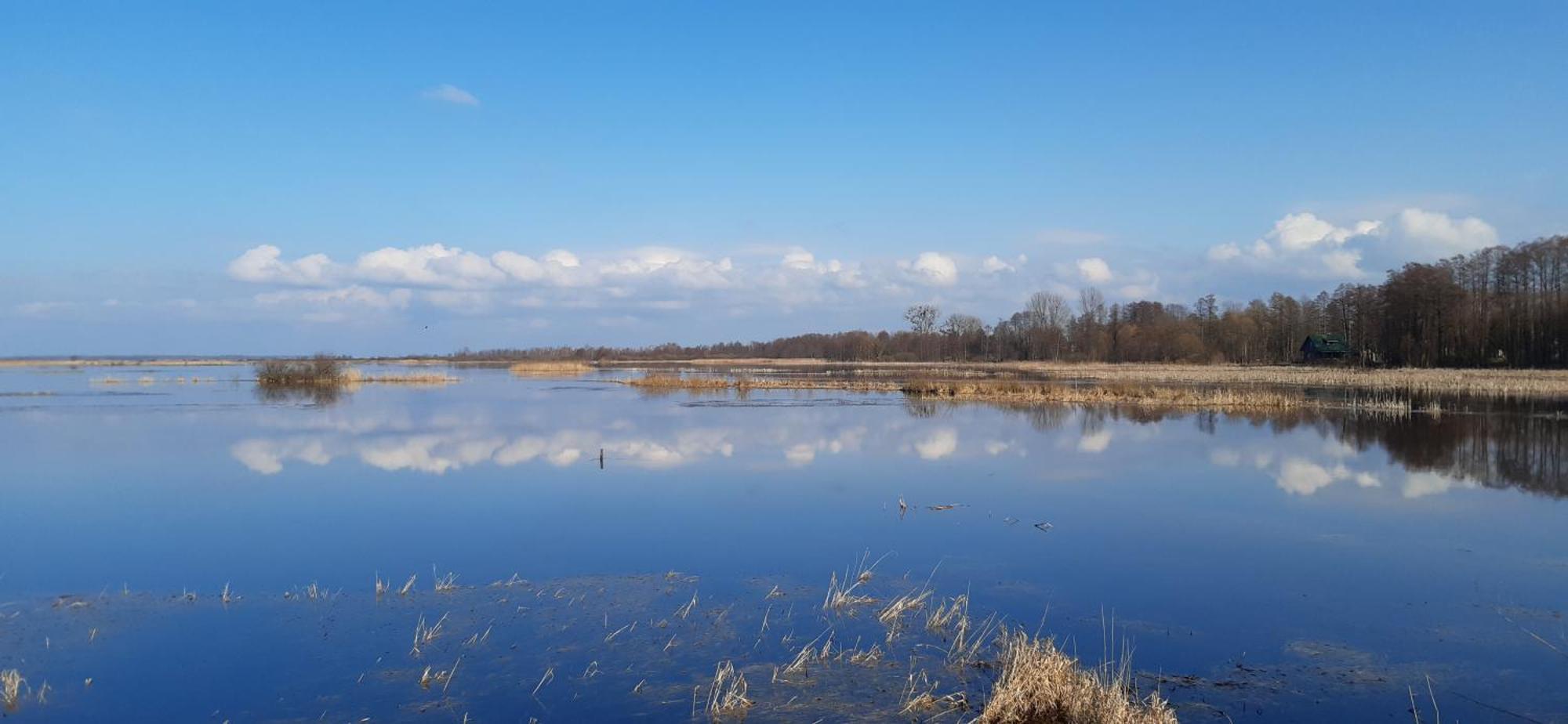 Noclegi Nad Biebrza Stara Szkola Wrocen Kültér fotó